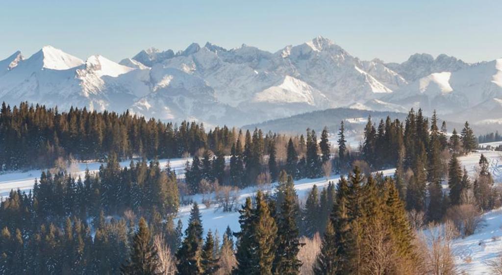 Malgosia Regionalna - 10 Minut Na Piechote Do Stoku Narciarskiego I Term Bania - Posilki Serwowane W Budynku Obok Bialka Tatrzanska Buitenkant foto